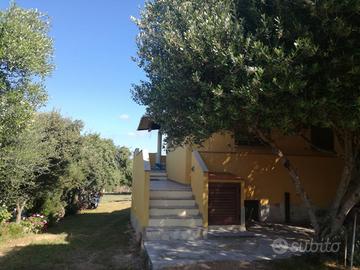 Palau zona Porto Pollo appartamento vista mare