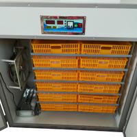 Incubatrice automatica professionale EM1000 uova
