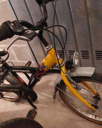 bici 20
