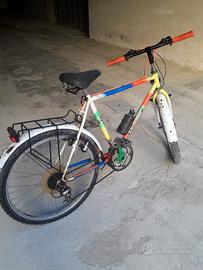 Biciclettata vintage