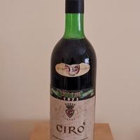 Vino Cirò del 1973 da collezionismo