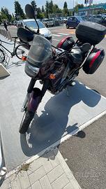Kawasaki KLE 500 ‘99