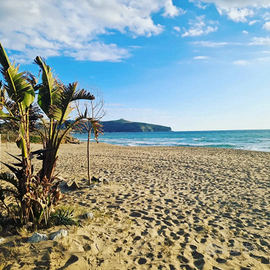 Palinuro last minute appartamento a 50 metri mare