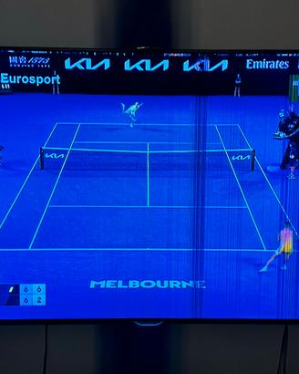 Tv samsung 55 led 3d lcd guasto