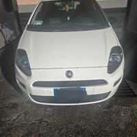 grande punto evo