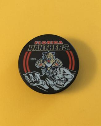 NHL Puck Hockey Florida Panthers