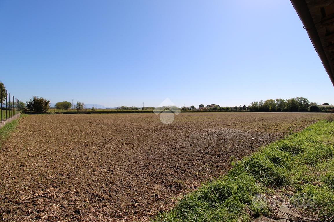 TER. AGRICOLO A TRIVIGNANO UDINESE - Vista 3