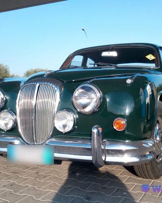 Daimler Super V8 250 •Targa Oro•