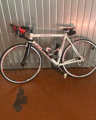 Bici da corsa