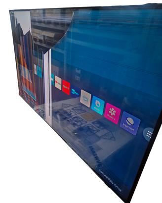TV Samsung QE50Q60CAUXZT schermo rotto