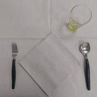 Tovaglie Coprimacchia 100x100 Cotone Grigio Perla