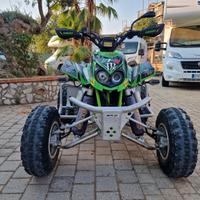 Quad ARCTIC CAT Dvx400 - ELABORATO