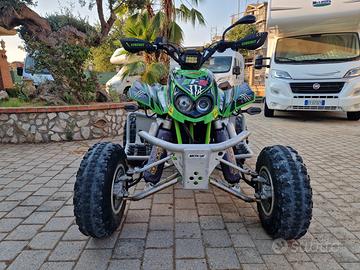 Quad ARCTIC CAT Dvx400 - ELABORATO