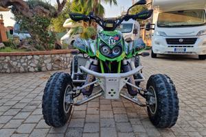 Quad ARCTIC CAT Dvx400 - ELABORATO