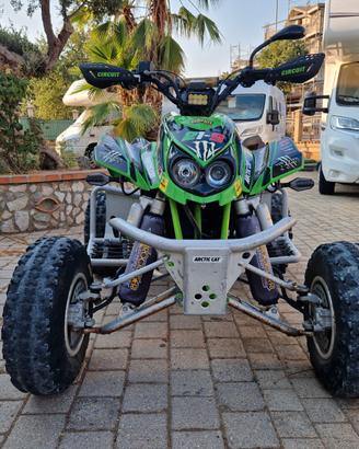 Quad ARCTIC CAT Dvx400 - ELABORATO