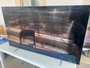 Tv oled 55 pollici non si accende