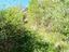 Immagine 9