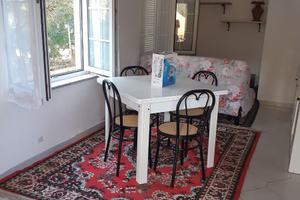 Murta Maria trilo con cucina