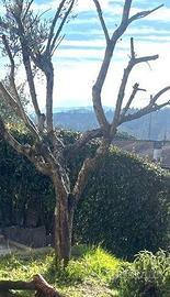 Appartamento di 110 m² con 3 locali e box auto a C