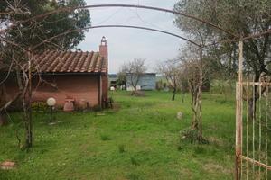 Orto fra Grosseto e Marina
