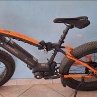 Bici elettrica