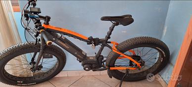 Bici elettrica