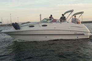 Chaparral Signature 260