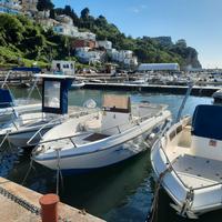 Barca Open Astra 210 Top Line - Mercury 100 cv