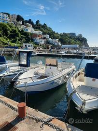 Barca Open Astra 210 Top Line - Mercury 100 cv