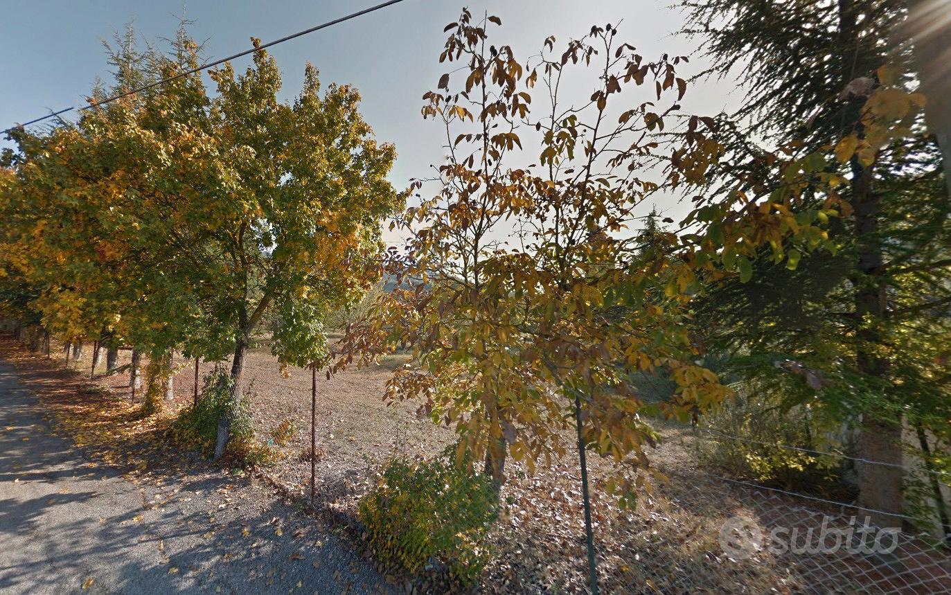 Terreno edificabile mantignana voc. santa lucia - Vista 5