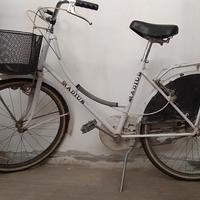 bicicleta radius