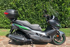 Kawasaki J300