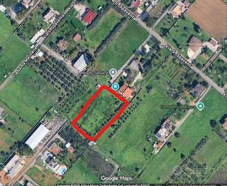 Terreno agricolo a Nettuno
