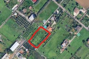 Terreno agricolo a Nettuno