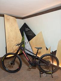 Santa Cruz Vala AL 70 tg L