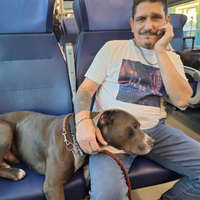 Imbianchino e piccole manutenzioni