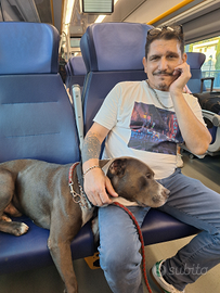 Imbianchino e piccole manutenzioni