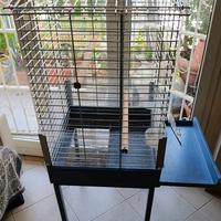 Gabbia pappagalli Imac