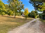 Immagine 20