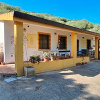 Casa e oliveto