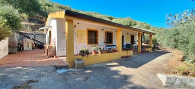 Casa e oliveto