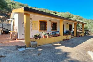 Casa e oliveto
