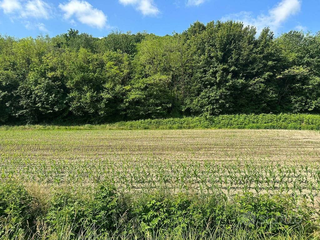 Terreno di 2091 m² a Sirone - Vista 2