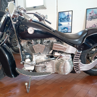 Harley Davidson softail