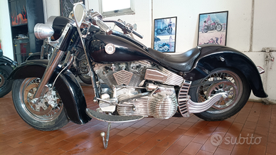 Harley Davidson softail