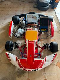 Go kart birel tm kz10