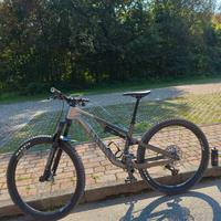 Canyon Neuron CF 8 Tg.M