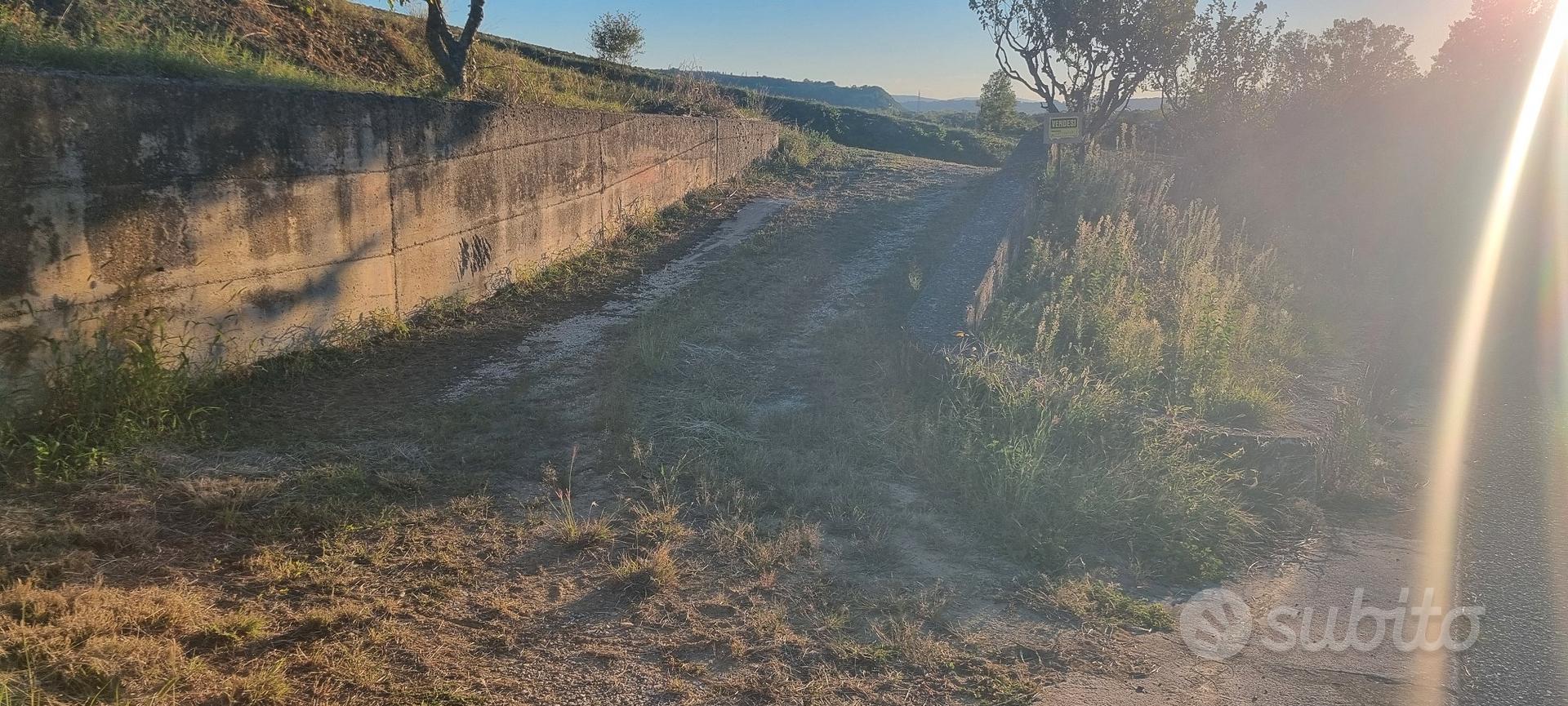 Terreno agricolo collinare - Vista 5