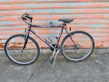MTB 26 Atala bird