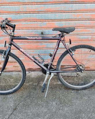 MTB 26 Atala bird